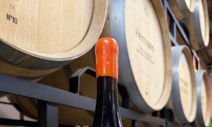 Vinícola Hermann apresenta o novo Alvarinho Laranja