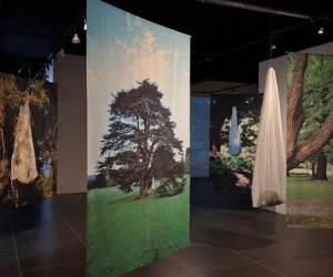 Floripa recebe 10 exposições de artes gratuitas para visitação