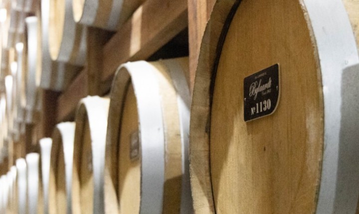 Cachaça de Luiz Alves conquista selo de origem