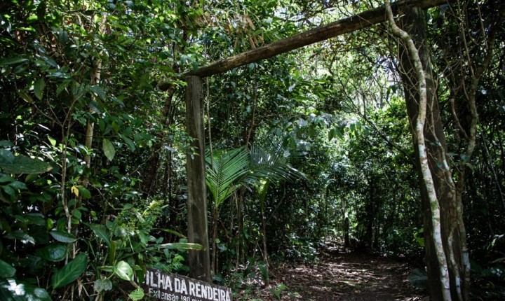Morro da Cruz tem plano para proteger área verde